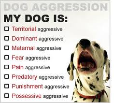 Questions to ask yourself about when and where you get aggressive.