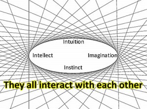 Intelligence-Instincts